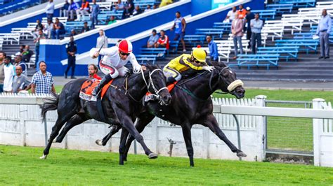 hollywoodbets mobile - horse racing & sports betting|Hollywoodbets Durban July 2024: Full Details on Africa’s Greatest .